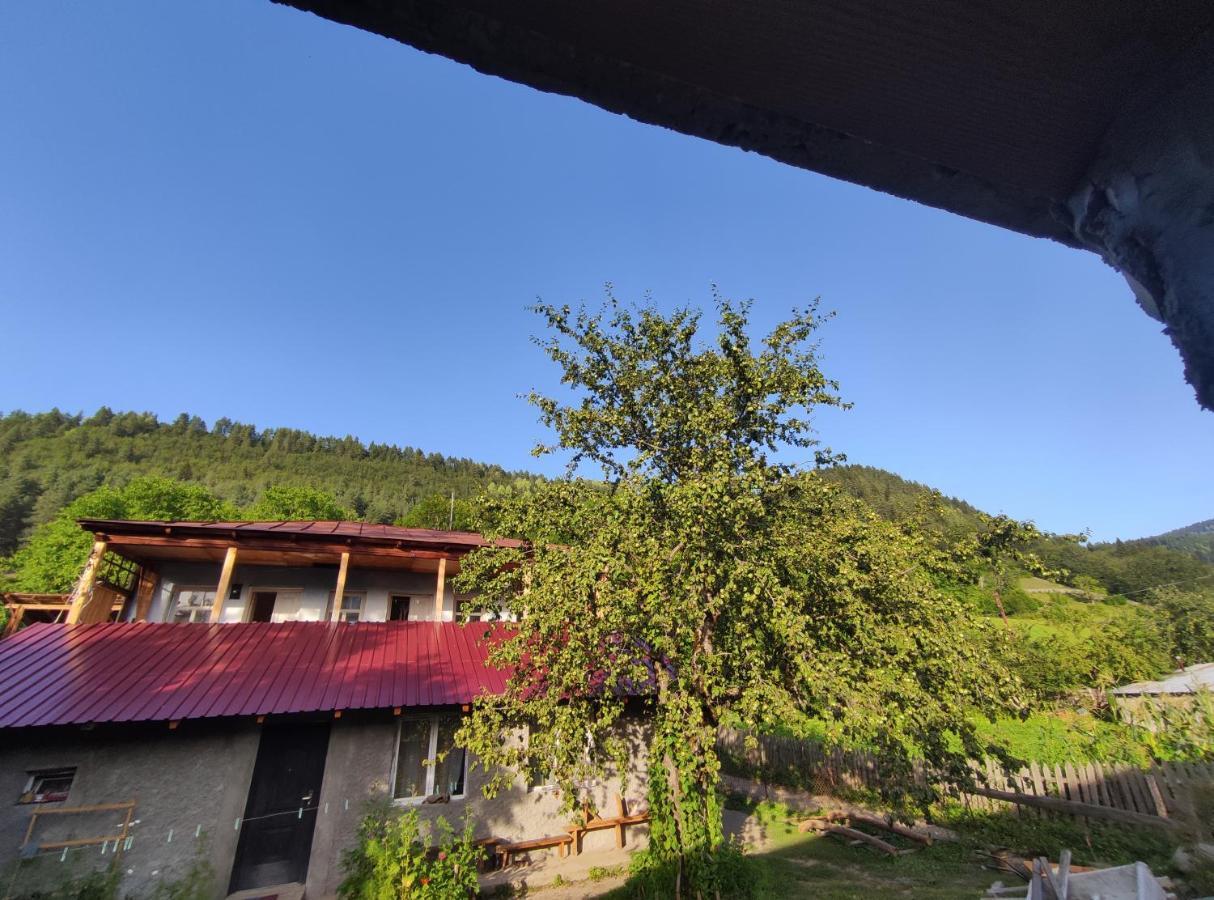 Ecohouse Svaneti Mestia Kültér fotó