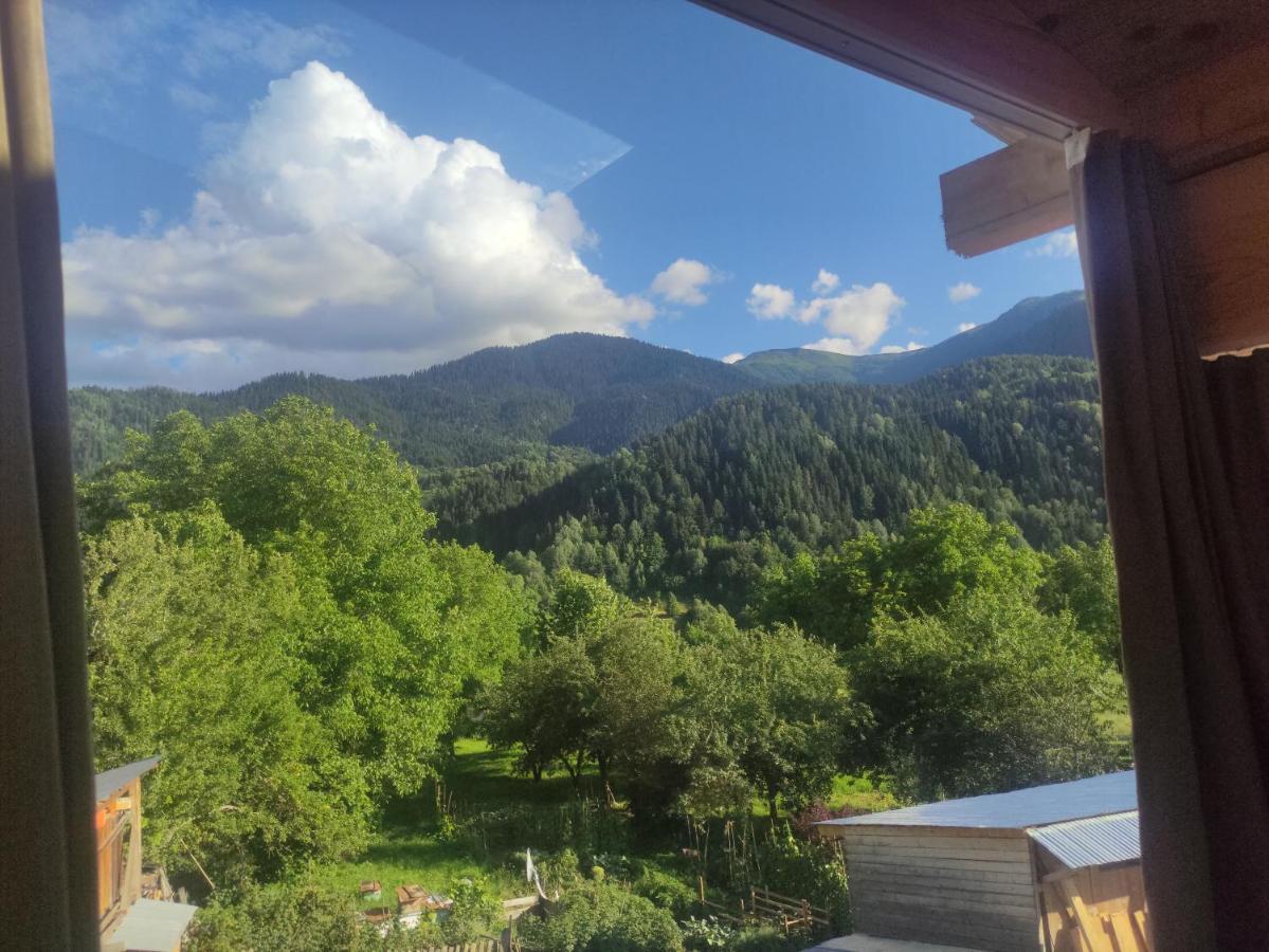 Ecohouse Svaneti Mestia Kültér fotó