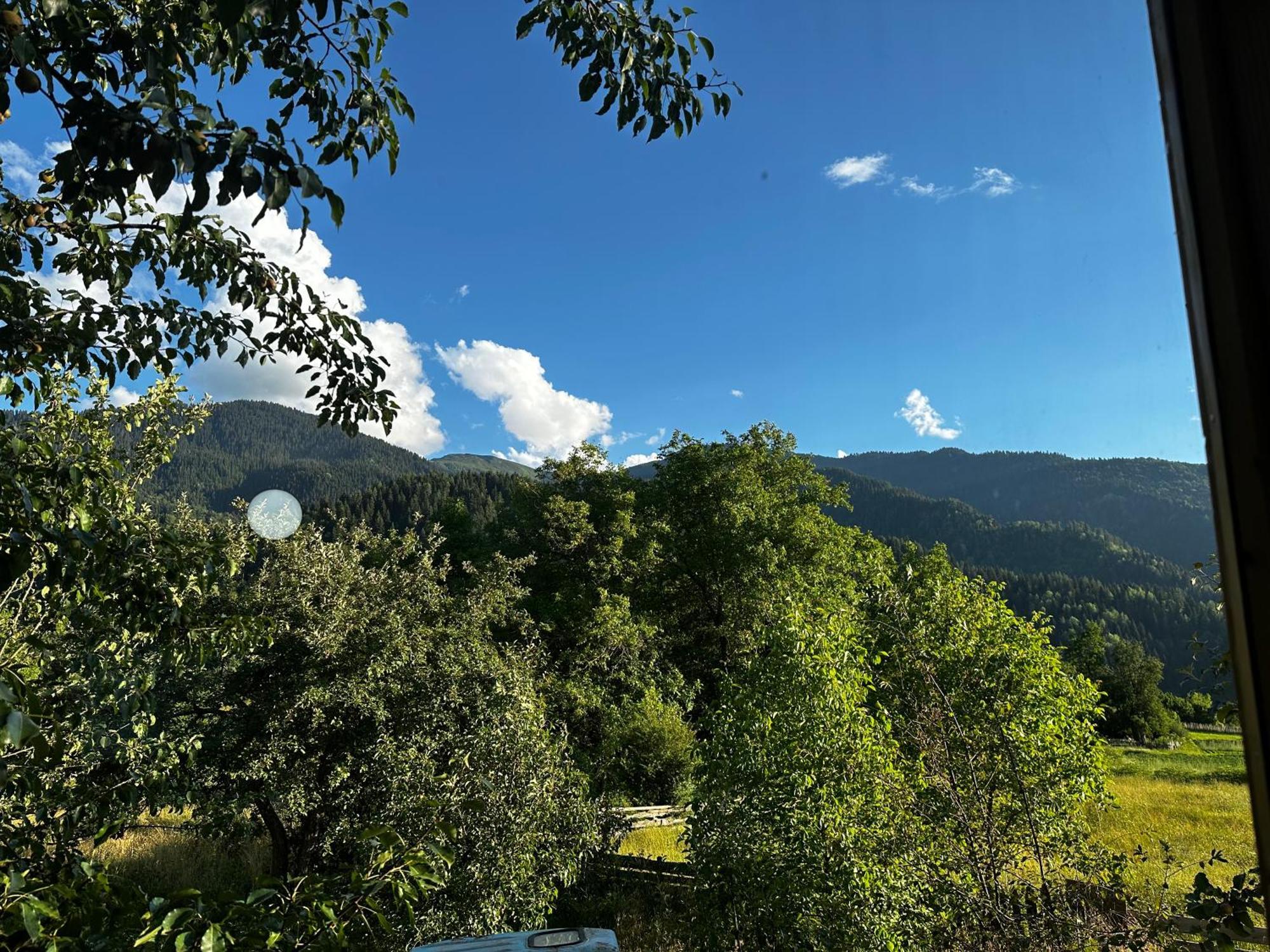Ecohouse Svaneti Mestia Kültér fotó