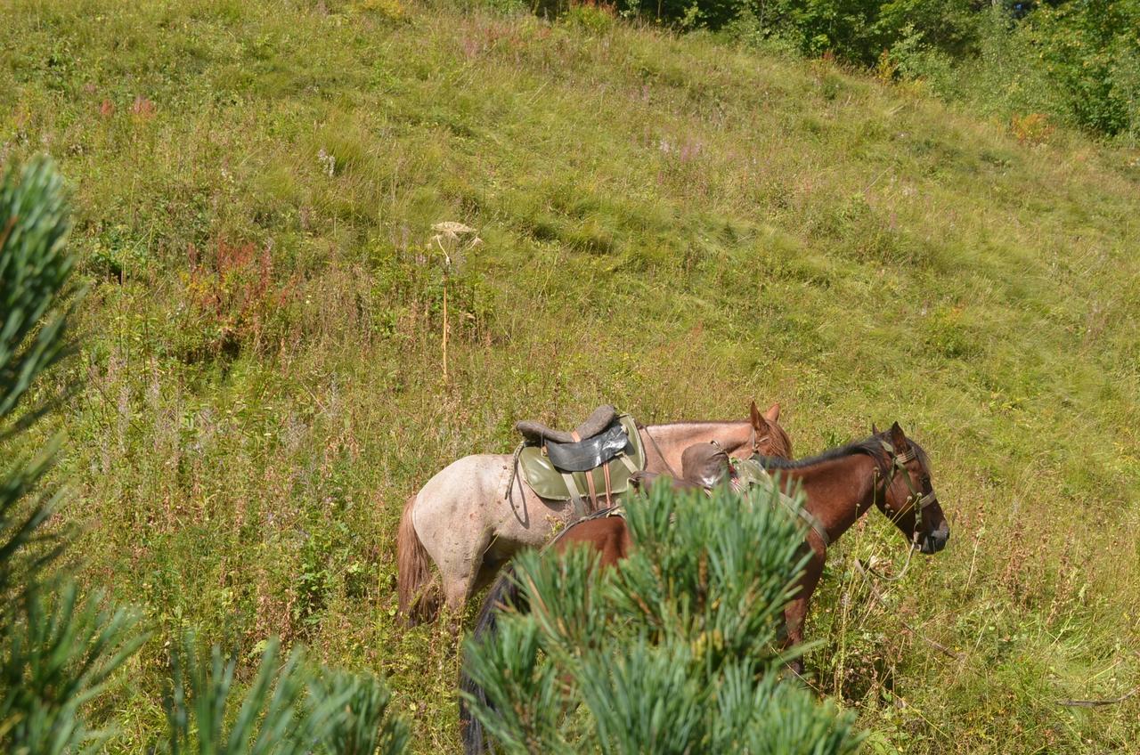 Ecohouse Svaneti Mestia Kültér fotó
